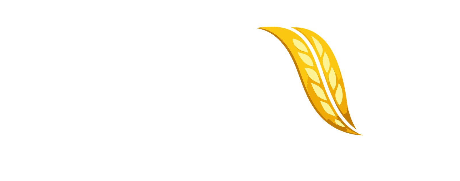 Saanvi Enterprise